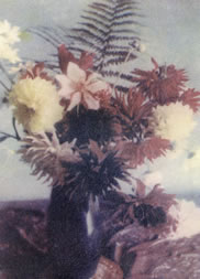 Hugo Haluschka: Blumenstrauß, 1933